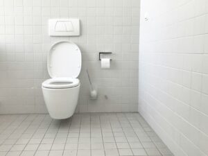 Vaastu For Toilet